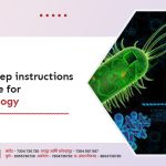Step by step instructions to Prepare for NEET Biology