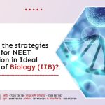 What are the strategies Followed for NEET preparation in Ideal Institute of Biology (IIB)?