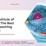 Ideal Institute of Biology; The Best AIIMS Coaching Institute