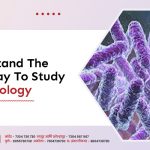Understand The Best Way To Study Microbiology